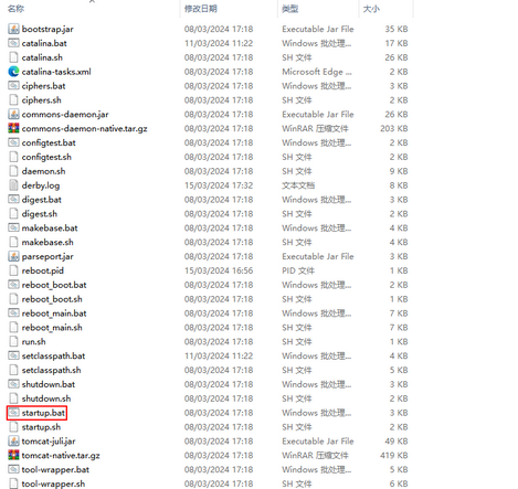 server_start2_zoom61