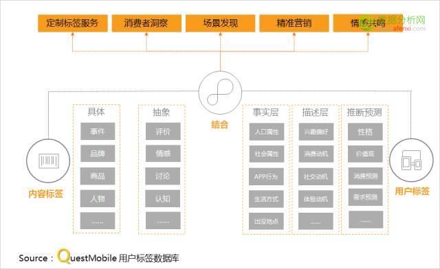 QuestMobile：追剧、追星、追热点，到底哪些小伙伴在跟你一起疯？-数据分析网