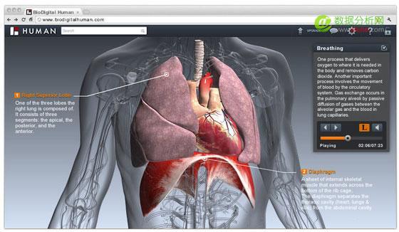 为医院及科研机构提供人体生理结构3D数据，BioDigital融资400万美元-数据分析网